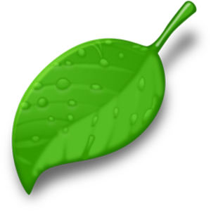 Leaf Vector Test Image