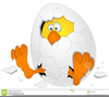 Cracked Easter Egg Clipart Image