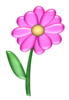 Flower Pink Image