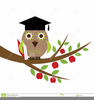 Graduation Owl Clipart Image