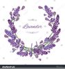 Lavender Border Clipart Image