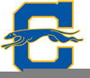 Carmel Greyhounds Logo Image