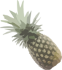 Pineapple Svg Med Image