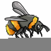 Free Online Bee Clipart Image