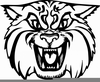 Ky Wildcats Clipart Image