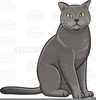 Feline Clipart Image