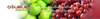Banner Double Stemcell Image