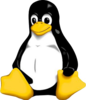 Penguin Image