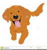 Running Golden Retreiver Clipart Image