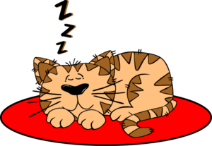 Cat On A Mat Clip Art