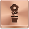 Pot Flower Icon Image