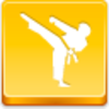 Karate Icon Image