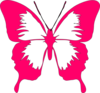 Butterfly  Clip Art