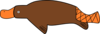 Platypus  Clip Art