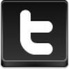 Free Black Button Twitter Image