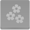 Flowers Icon Image