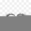 Eyelashes Clipart Image