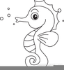 Sea Animal Clipart Image