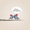 Christmas Birds 1 Image