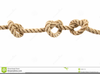 Clipart Rope Knots Image