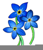 Forget Me Not Clipart Image