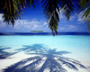 Tropical Image