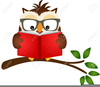 Owl Reading A Book Clipart Image