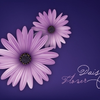957 Image