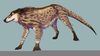 Andrewsarchus Hooves Image