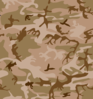 Desert Camo Print Clip Art