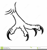 Eagle Claws Clipart Image