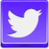 Twitter Bird Icon Image