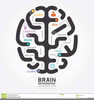 Brain Diagram Clipart Image