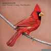 Young Cardinals Alexisonfire Image