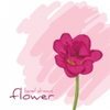 1275 1 Image