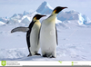 South Pole Clipart Image