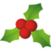 Christmas Mistletoe 1 Image