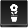 Pot Flower Icon Image