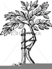 Stake Clipart Image