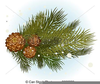 Pine Cone Clipart Black And White Image