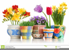 Clipart Pots De Fleurs Image