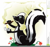 Free Clipart Skunk Image