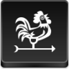 Weathercock Icon Image