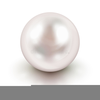 Free Pearl Clipart Image