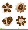 Coffee Bean Clipart Image