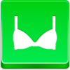 Bra Icon Image