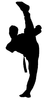 Tkd Shadow Image