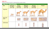 Evolution Of Camel Image