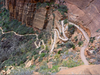 Angels Landing Switchbacks Image