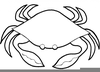 Ocean Animal Clipart Image